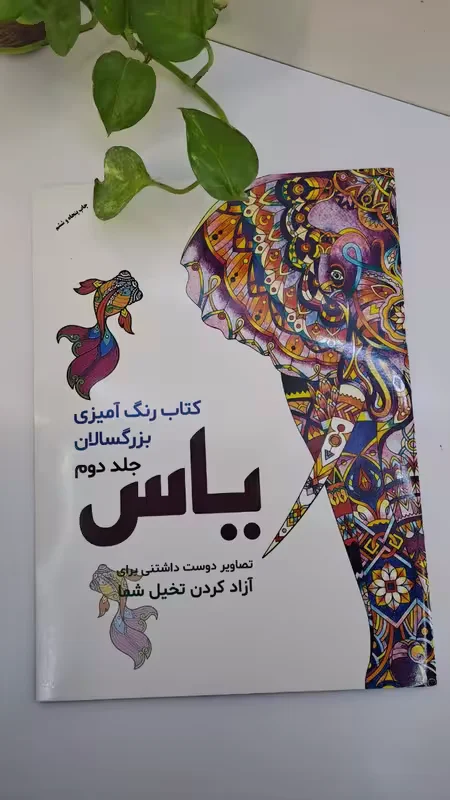 کتاب رنگامیزی بزرگسال جلد دوم