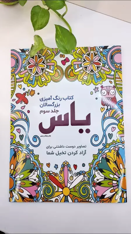 کتاب رنگامیزی بزرگسال جلد سوم