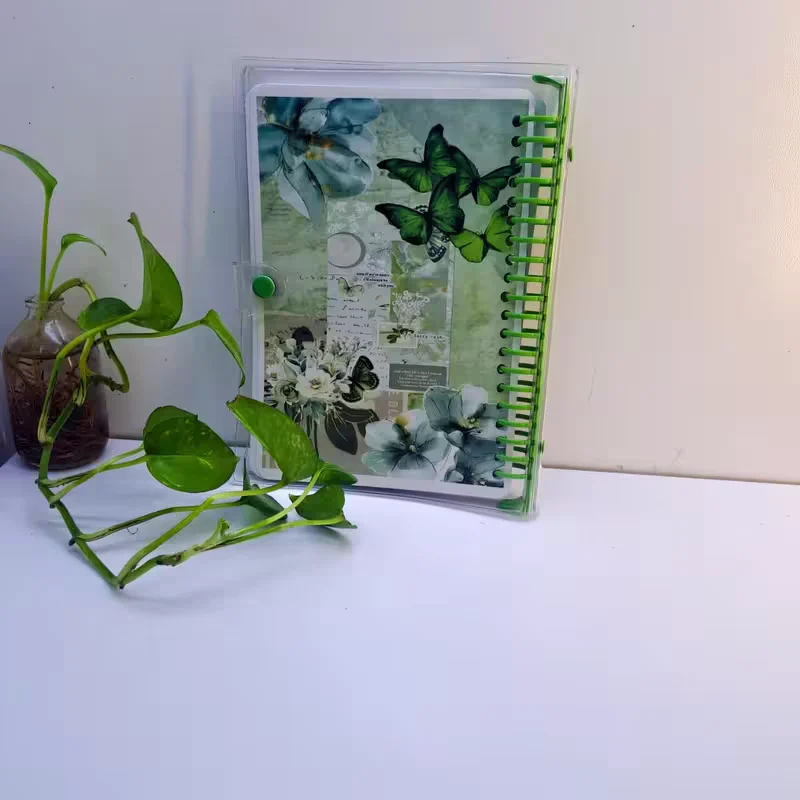 کلاسور شفاف طرح سبز پروانه